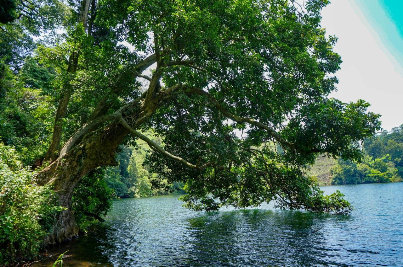 Lake Nyamirima Cottages Fort Portal Екстериор снимка